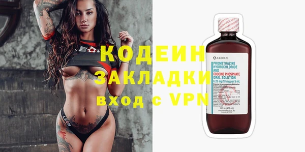 шишки Пересвет