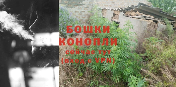 ГАЛЛЮЦИНОГЕННЫЕ ГРИБЫ Пестово