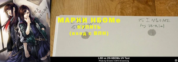 шишки Пересвет