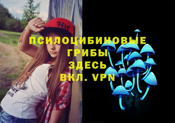 ГАЛЛЮЦИНОГЕННЫЕ ГРИБЫ Пестово