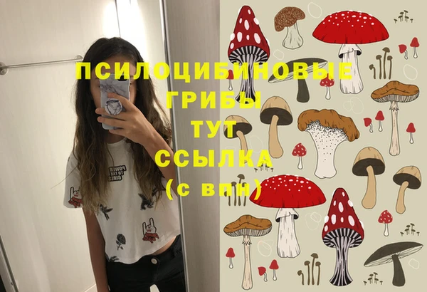 мдма Переславль-Залесский