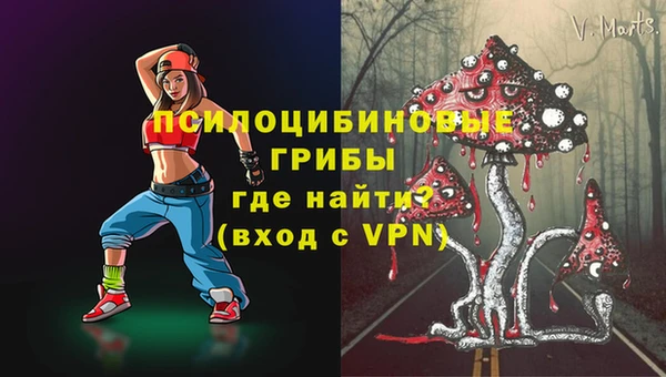 шишки Пересвет