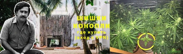 ГАЛЛЮЦИНОГЕННЫЕ ГРИБЫ Пестово