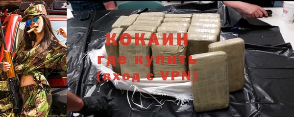 шишки Пересвет