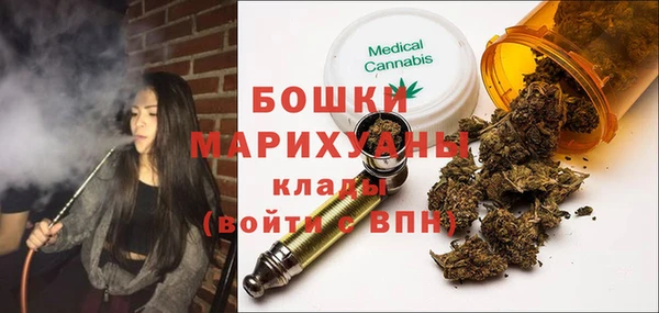 шишки Пересвет