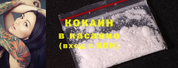 ГАЛЛЮЦИНОГЕННЫЕ ГРИБЫ Пестово
