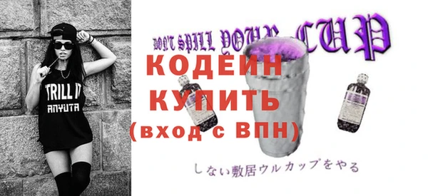 шишки Пересвет
