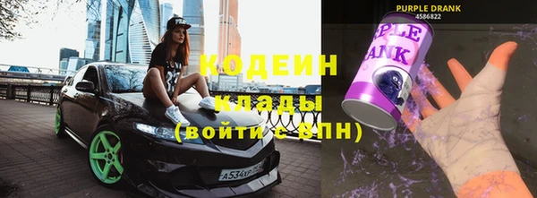 шишки Пересвет