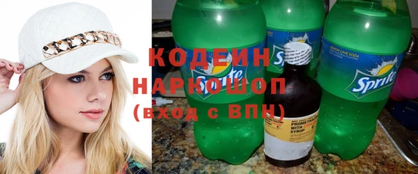 шишки Пересвет