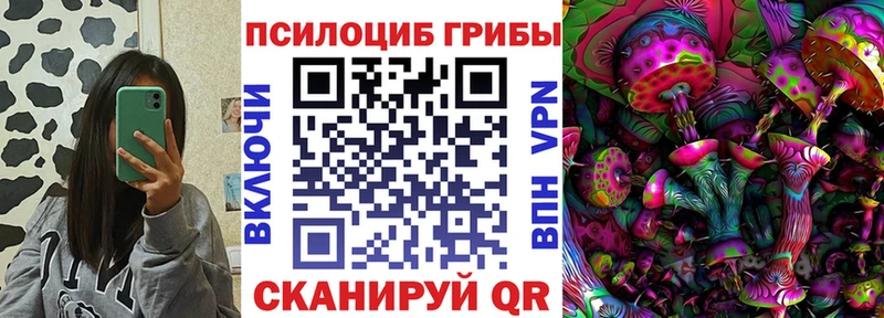 OMG рабочий сайт  Сурск  Псилоцибиновые грибы GOLDEN TEACHER 
